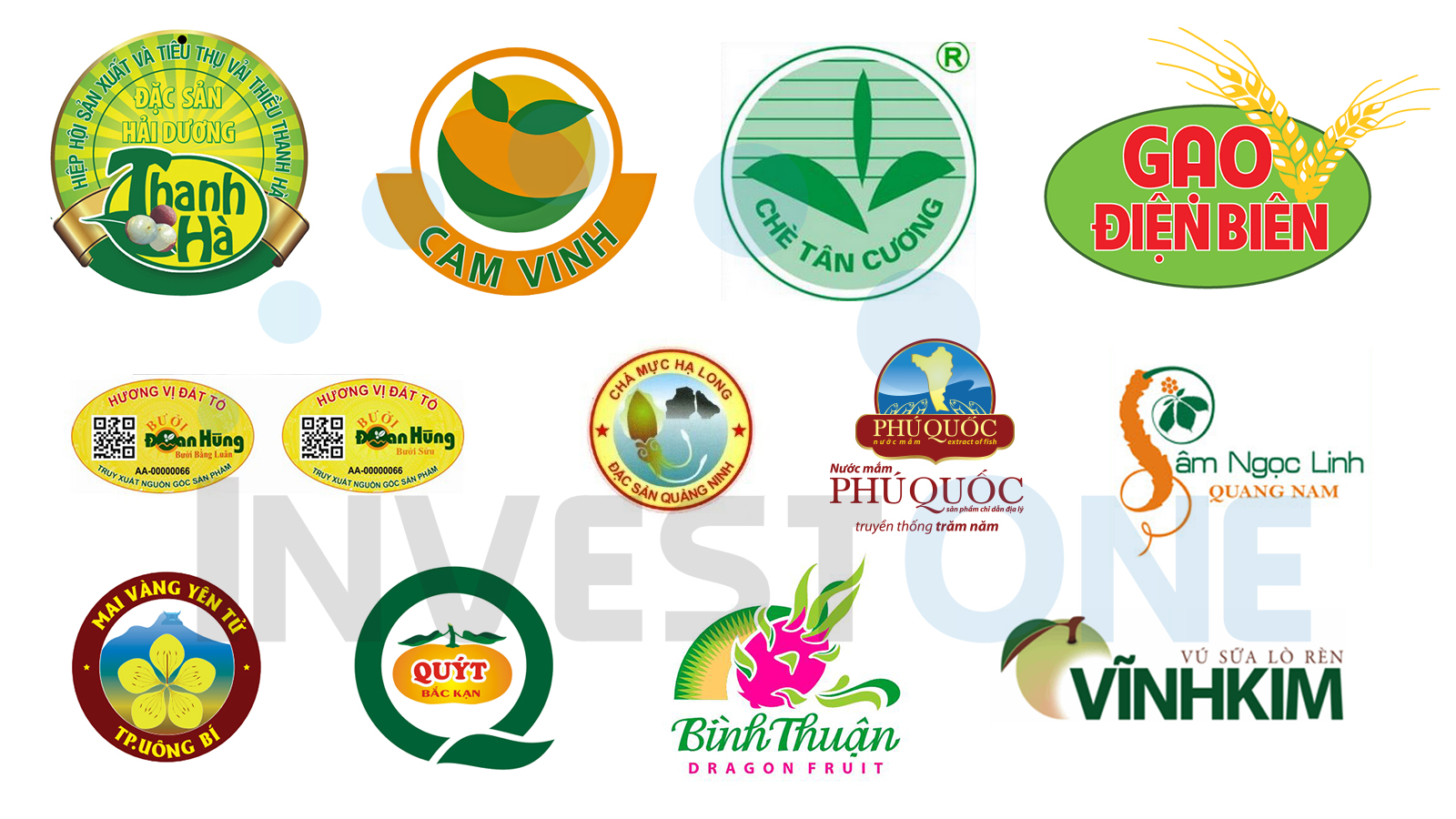 Bảo hộ chỉ dẫn địa lý với xuất khẩu nông sản Việt Nam