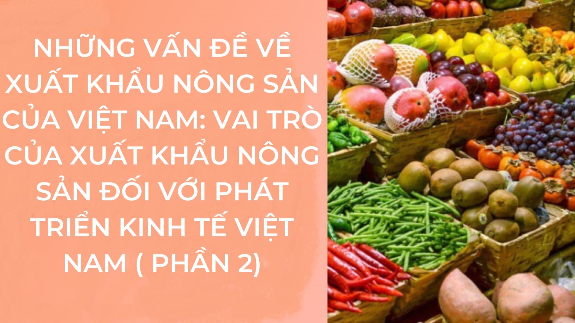 Những vấn đề về xuất khẩu nông sản của Việt Nam: Vai trò của xuất khẩu nông sản đối với phát triển kinh tế Việt Nam (phần 2)