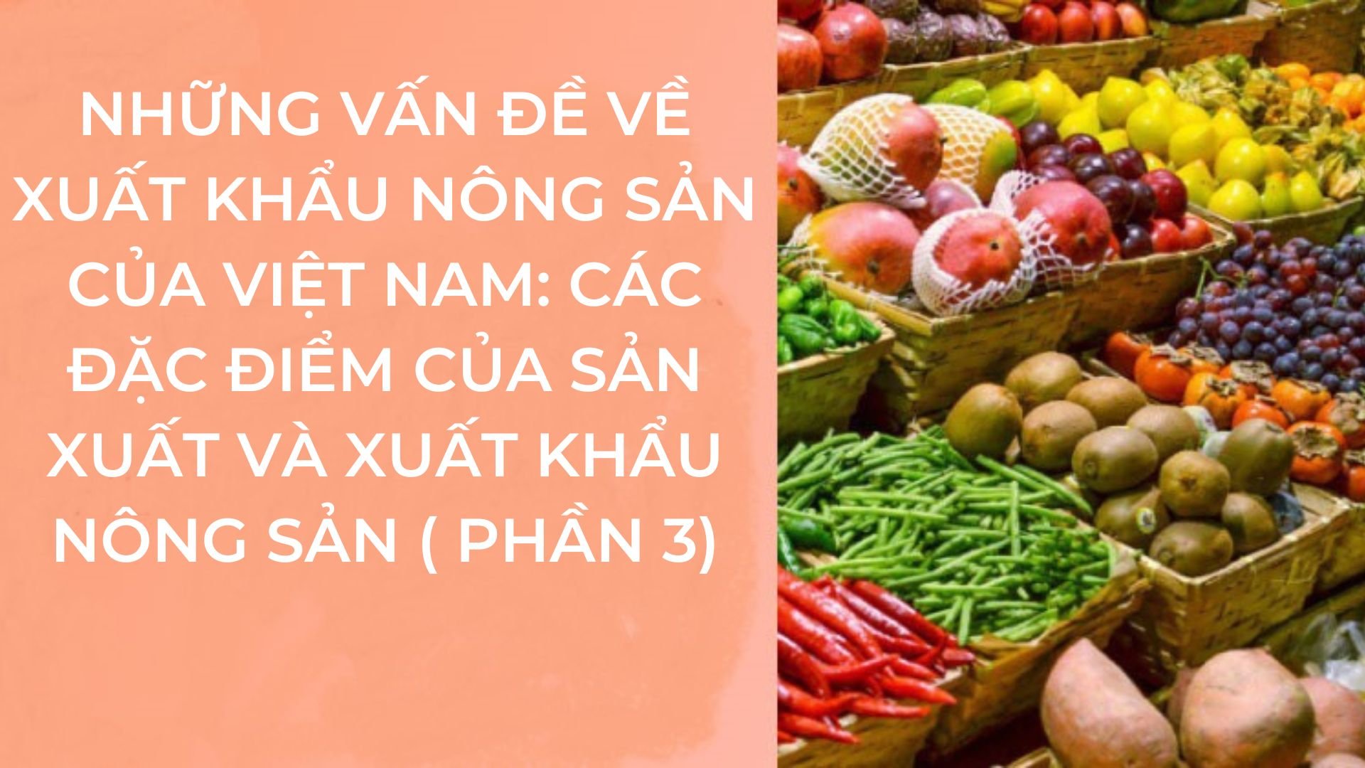 Những vấn đề về xuất khẩu nông sản của Việt Nam: các đặc điểm của sản xuất và xuất khẩu nông sản (phần 3)