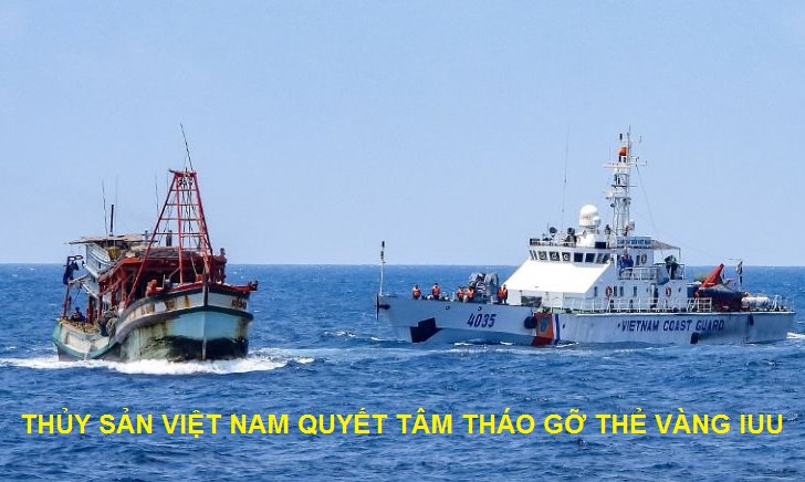 Thủy sản Việt Nam và quá trình thực hiện các khuyến nghị của Ủy ban Châu Âu để tháo gỡ thẻ vàng IUU