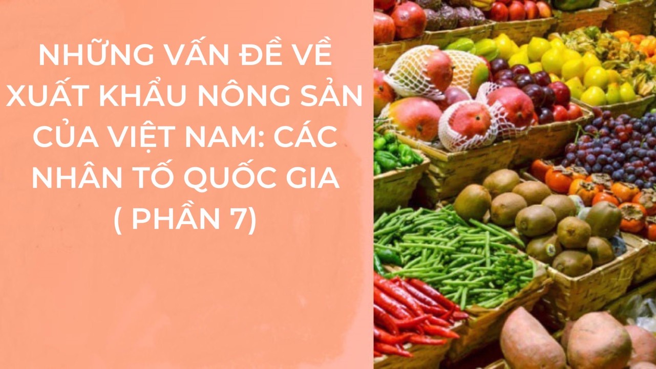 Những vấn đề về xuất khẩu nông sản của Việt Nam: Các nhân tố quốc gia (phần 7)
