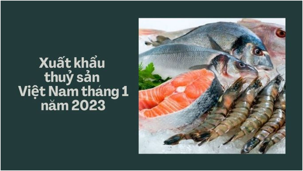 Xuất khẩu thuỷ sản Việt Nam tháng 1 năm 2023