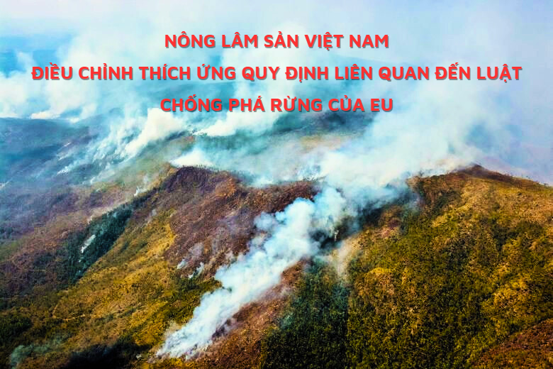 Nông lâm sản Việt Nam điều chỉnh thích ứng quy định liên quan đến luật chống phá rừng của EU
