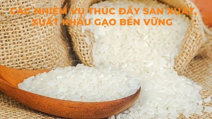 Các nhiệm vụ thúc đẩy sản xuất, xuất khẩu gạo bền vững  trong giai đoạn hiện nay