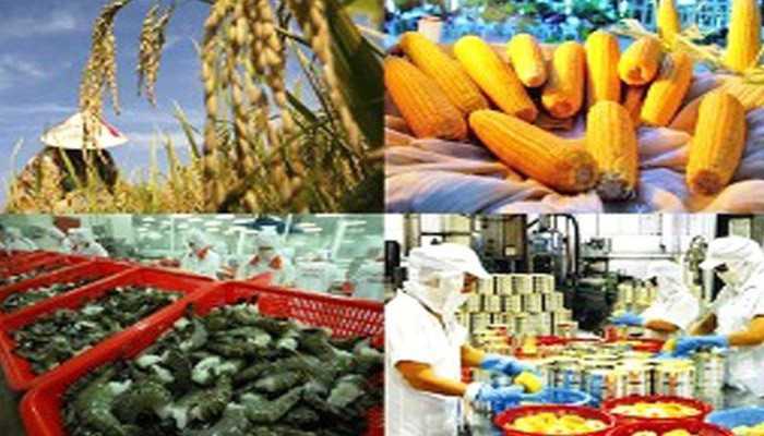 Vai trò của xuất khẩu nông sản trong nền kinh tế