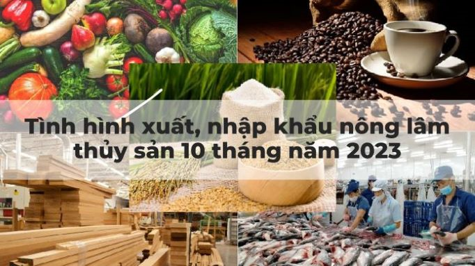 Tình hình xuất, nhập khẩu nông lâm thủy sản 10 tháng năm 2023