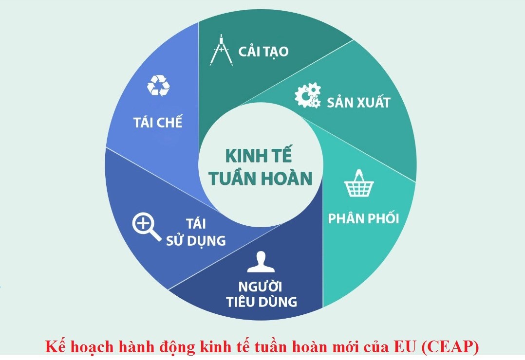 Kế hoạch hành động kinh tế tuần hoàn mới của EU (CEAP)