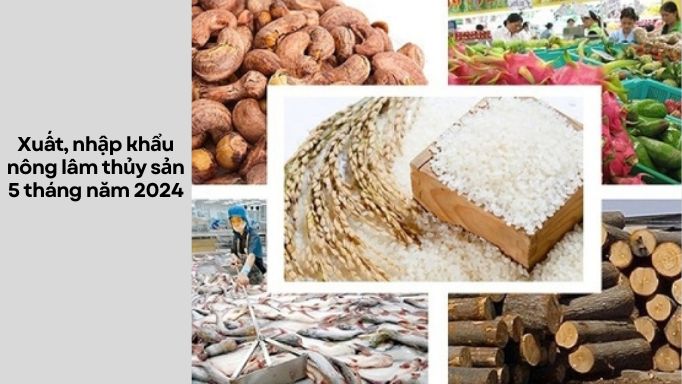 Tình hình xuất, nhập khẩu nông lâm thủy sản 5 tháng năm 2024