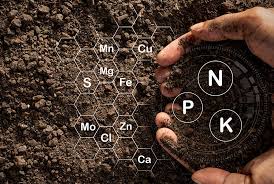 Thị trường xuất nhập khẩu phân bón của cả nước 5 tháng năm 2024