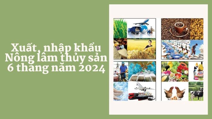 Tình hình xuất, nhập khẩu nông lâm thủy sản 6 tháng năm 2024