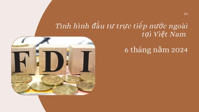 Tình hình đầu tư trực tiếp nước ngoài tại Việt Nam 6 tháng năm 2024